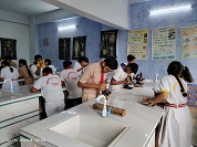 veena school karauli